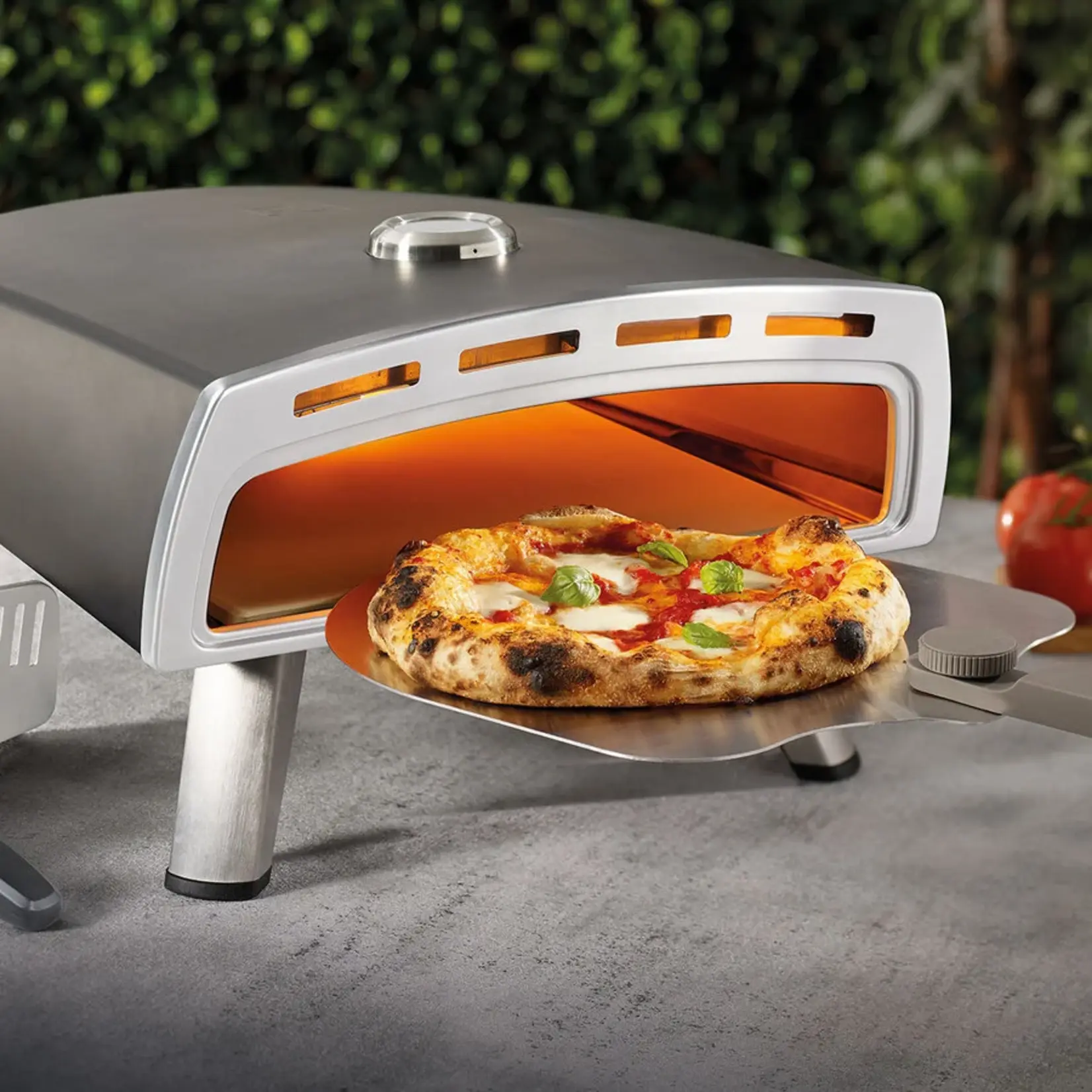 RICARDO Four à pizza sur pierre 800°F