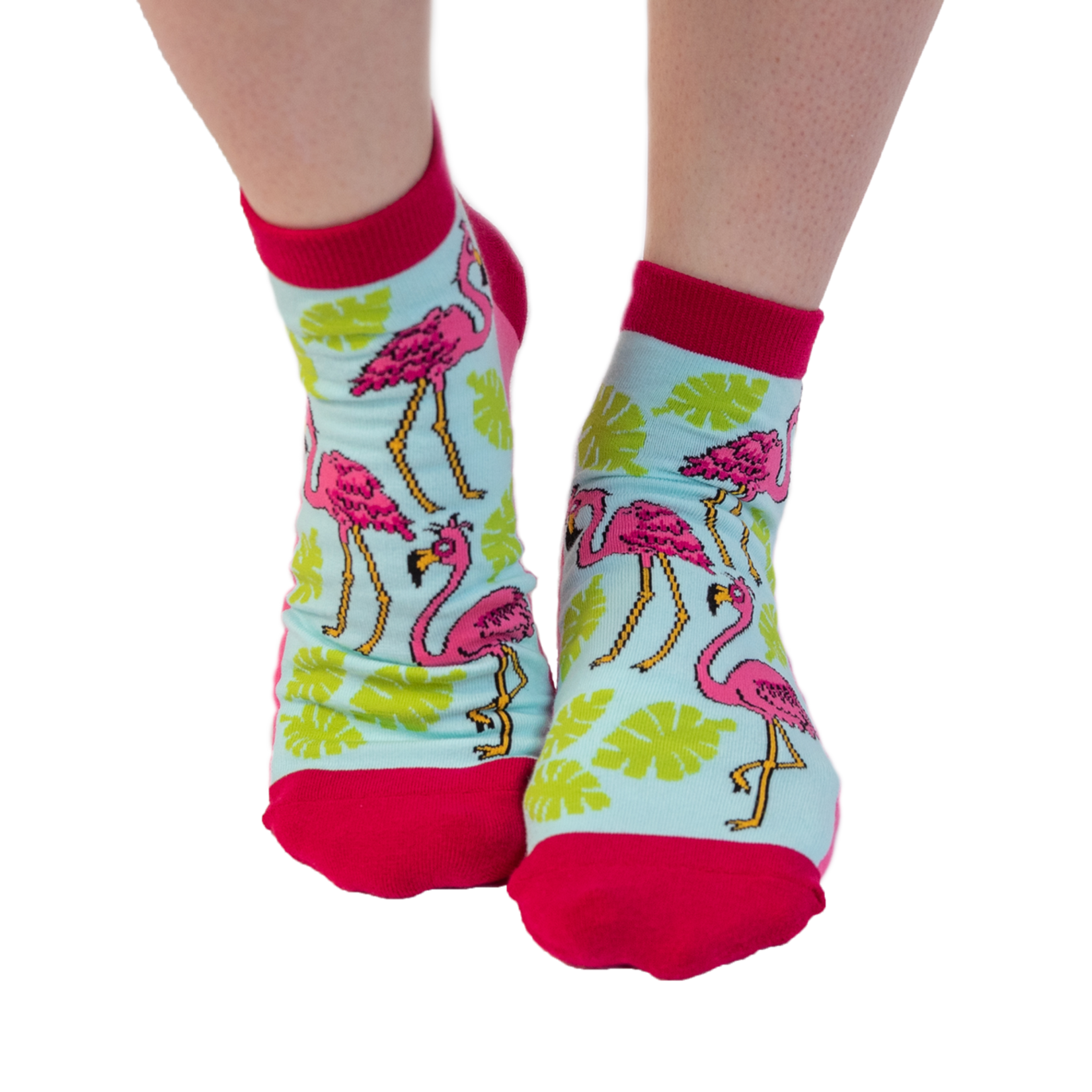 Lazy One (DNR) On My Last Leg Flamingo Anklet Sock