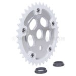 GT GT 110mm  bcd BMX bicycle Power Disc (SILVER) with 36T chainring (WHITE)