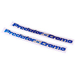 Schwinn 1982 Schwinn Predator Cro-Mo holographic frame downtube decals (PAIR) BLUE