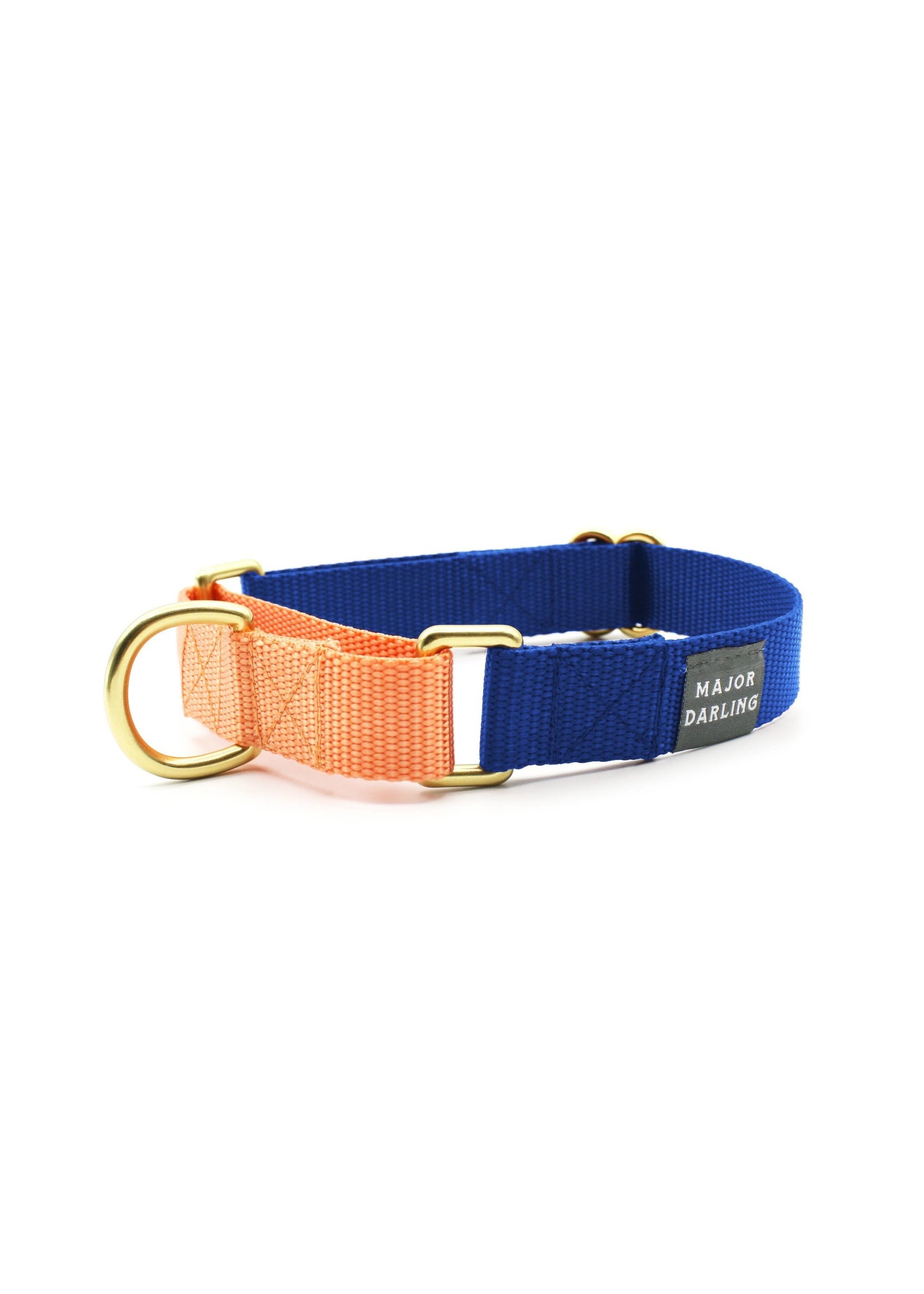 Major Darling Cobalt with Peach Martingale Collar