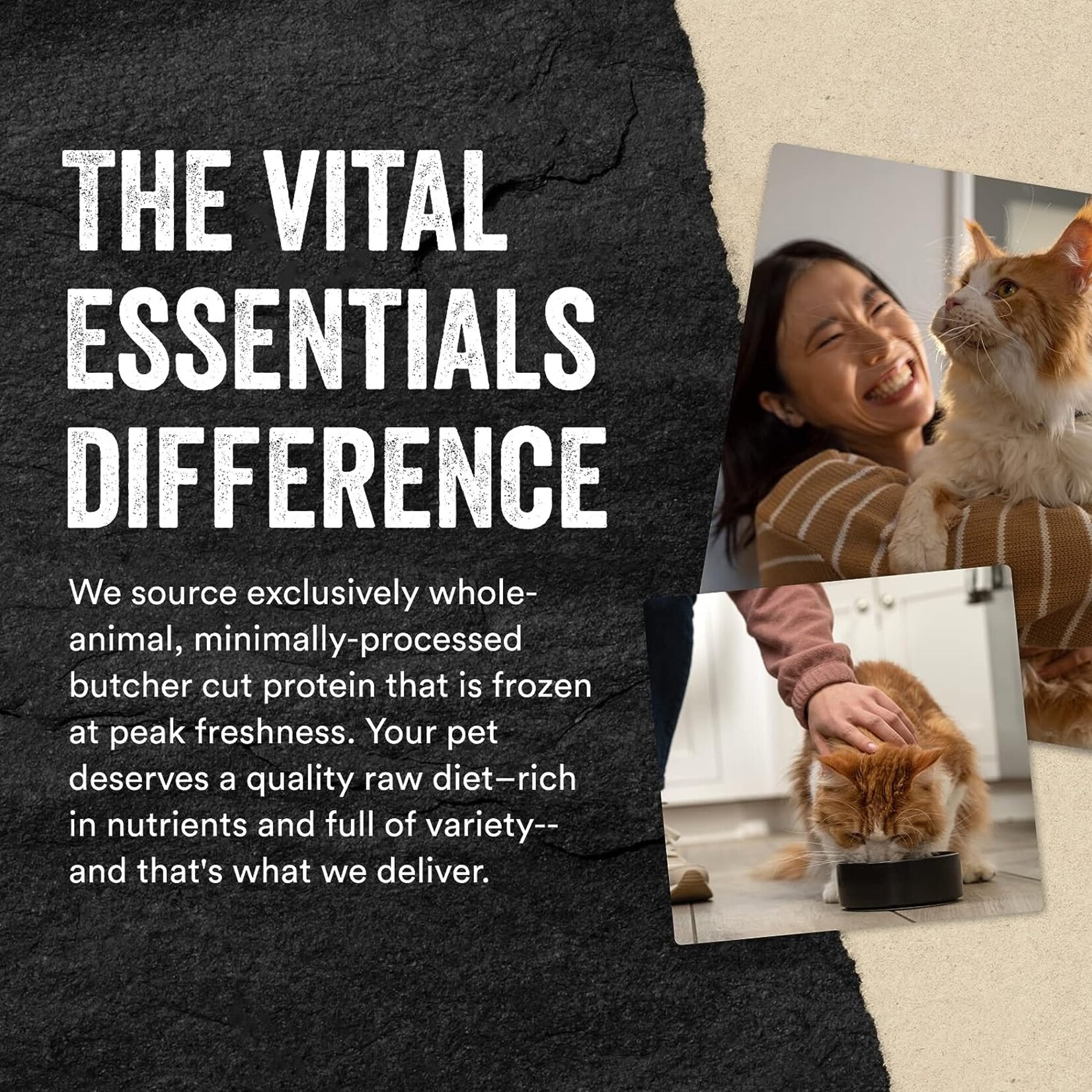 Vital Essentials Cat Freeze-Dried Beef & Chicken Mini Patties 3.5oz