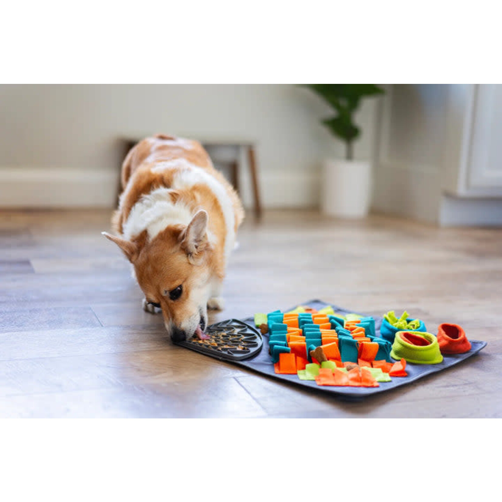 Messy Mutts Square Forage/Snuffle Mat Plus Lick Mat, 16" x 16"