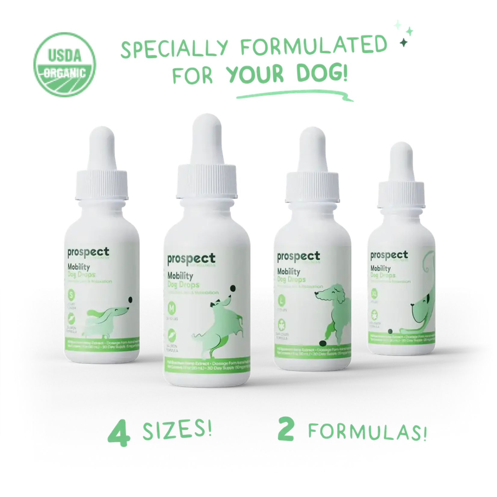 Prospect Pet Wellness Mobility CBD Drops for Small Dogs 150mg