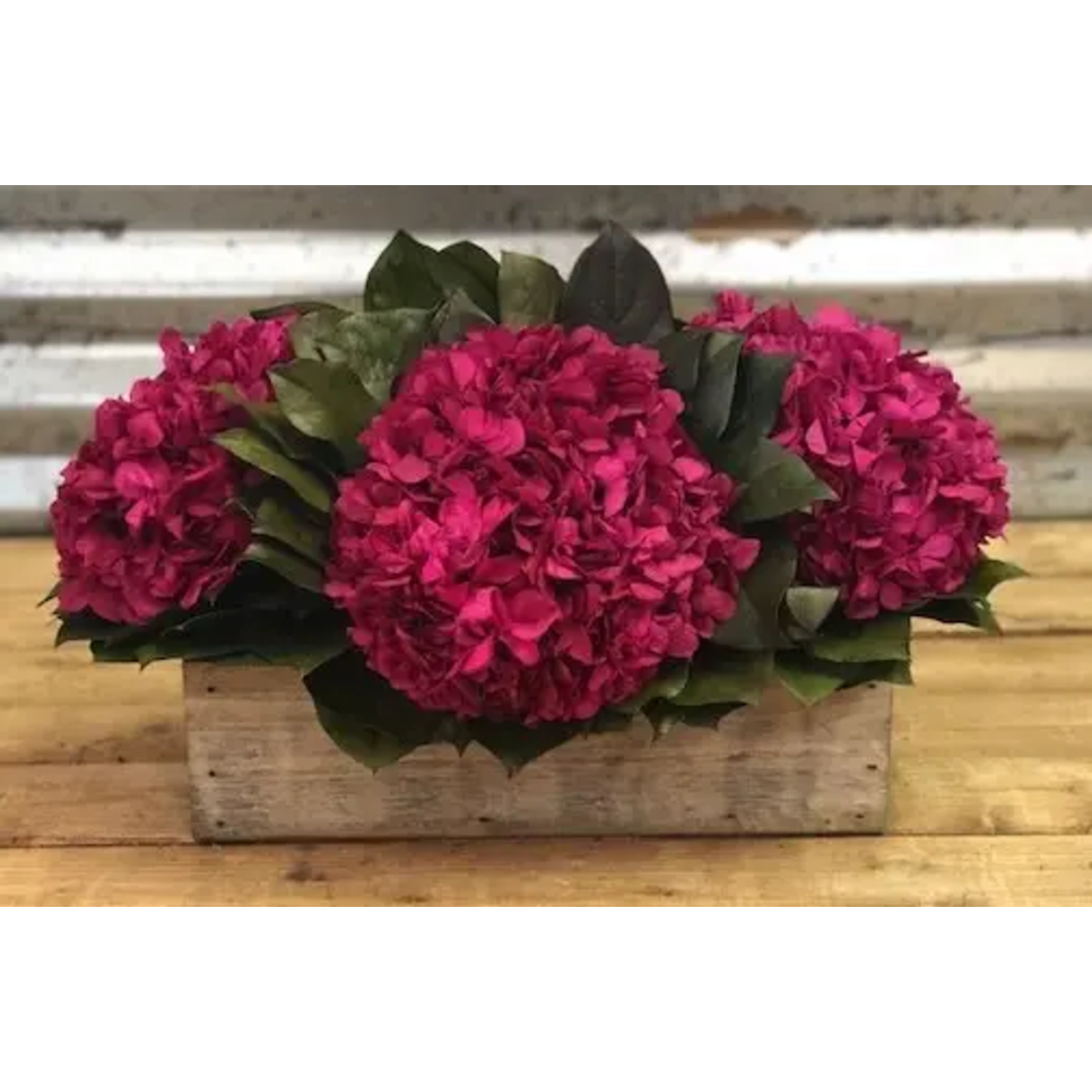 Forever Green Art Four Bloom Hydrangea