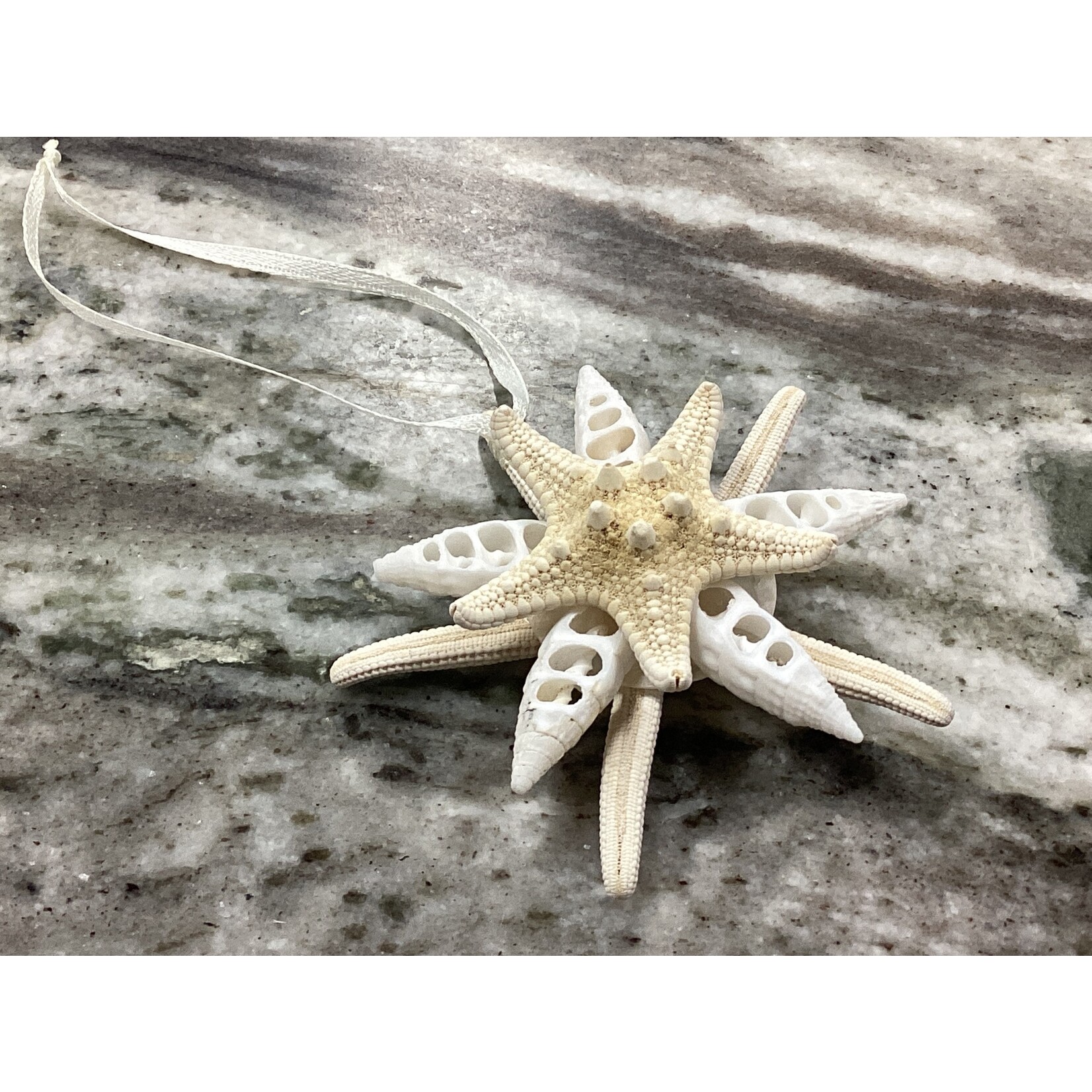 Prim In Proper Starfish Pendant Ornament