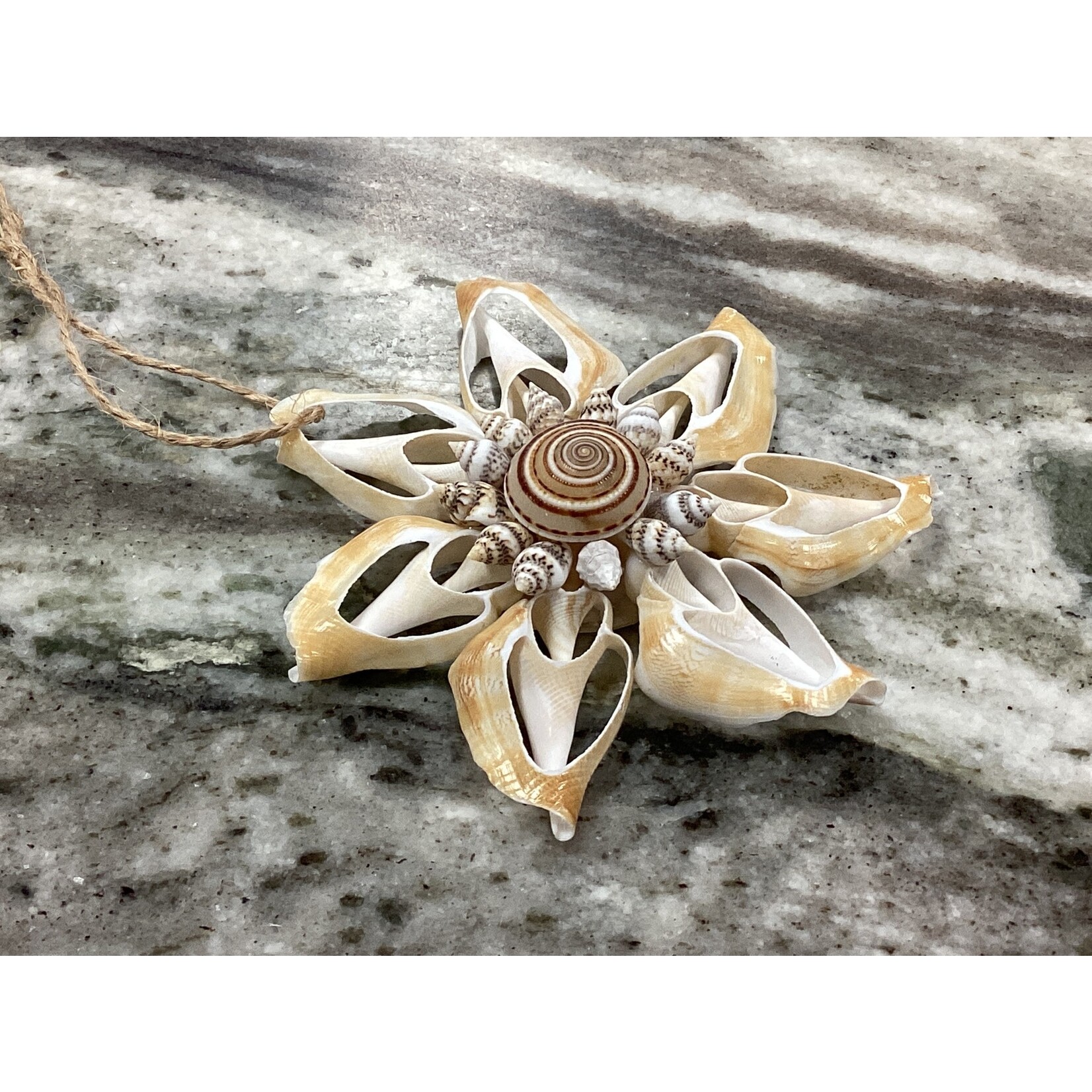 Prim In Proper Coastal Shell Pendant Ornament