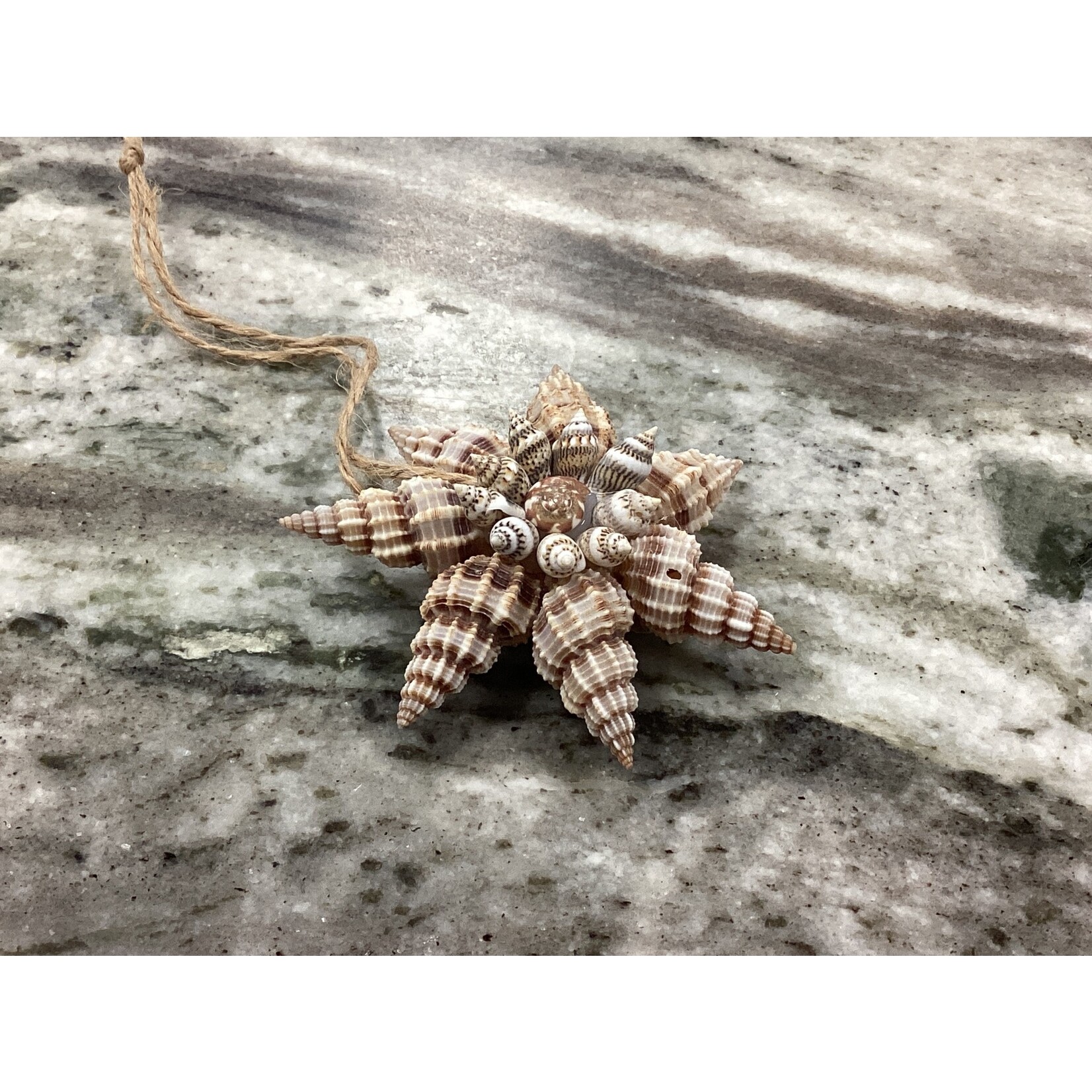 Prim In Proper Coastal Shell Pendant Ornament