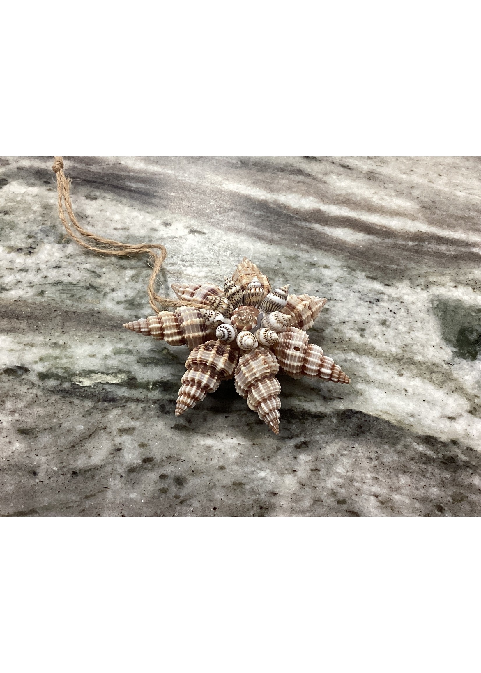 Unbranded Coastal Shell Pendant Ornament