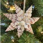 Prim In Proper 3.5" Shell Pendant Ornament