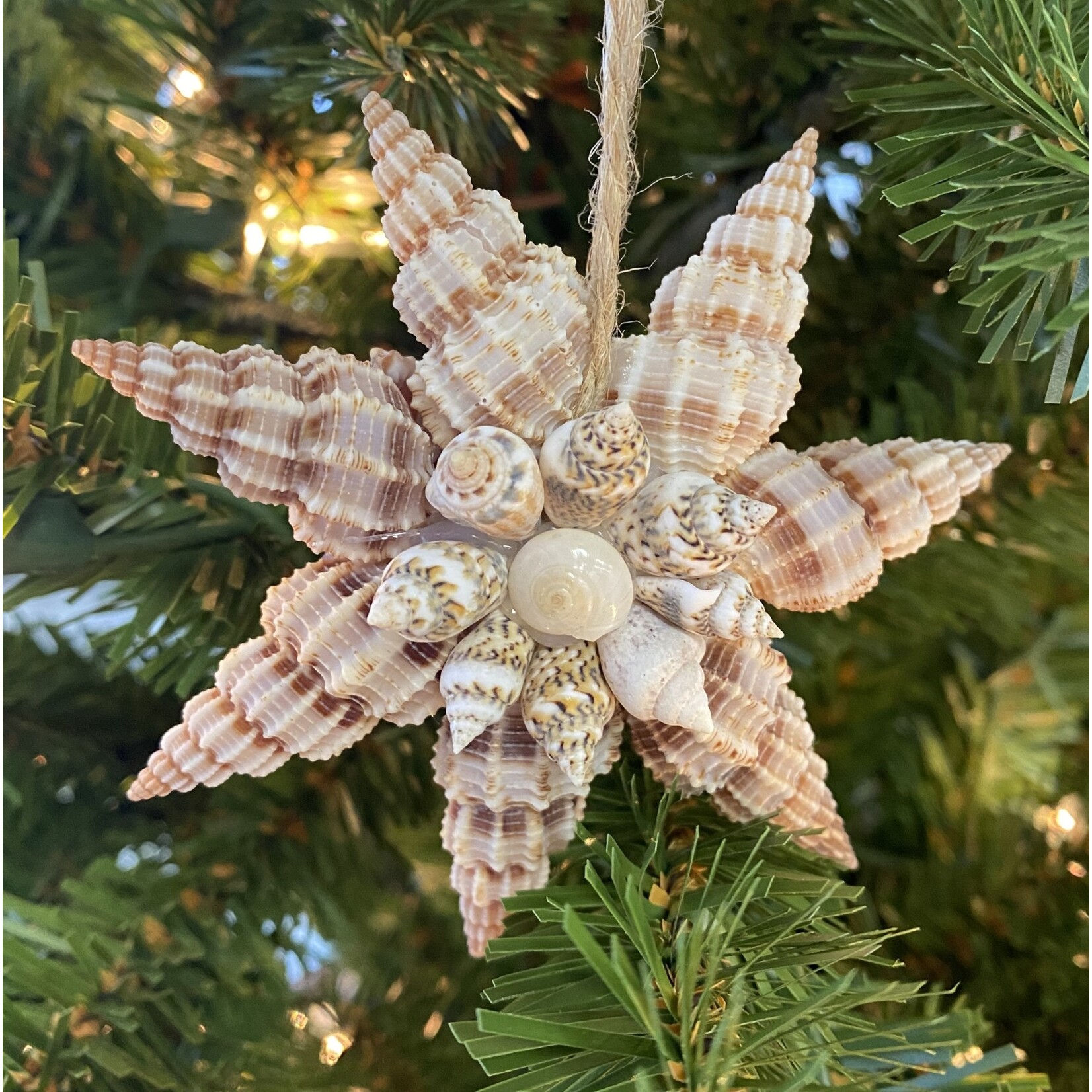 Prim In Proper Coastal Shell Pendant Ornament