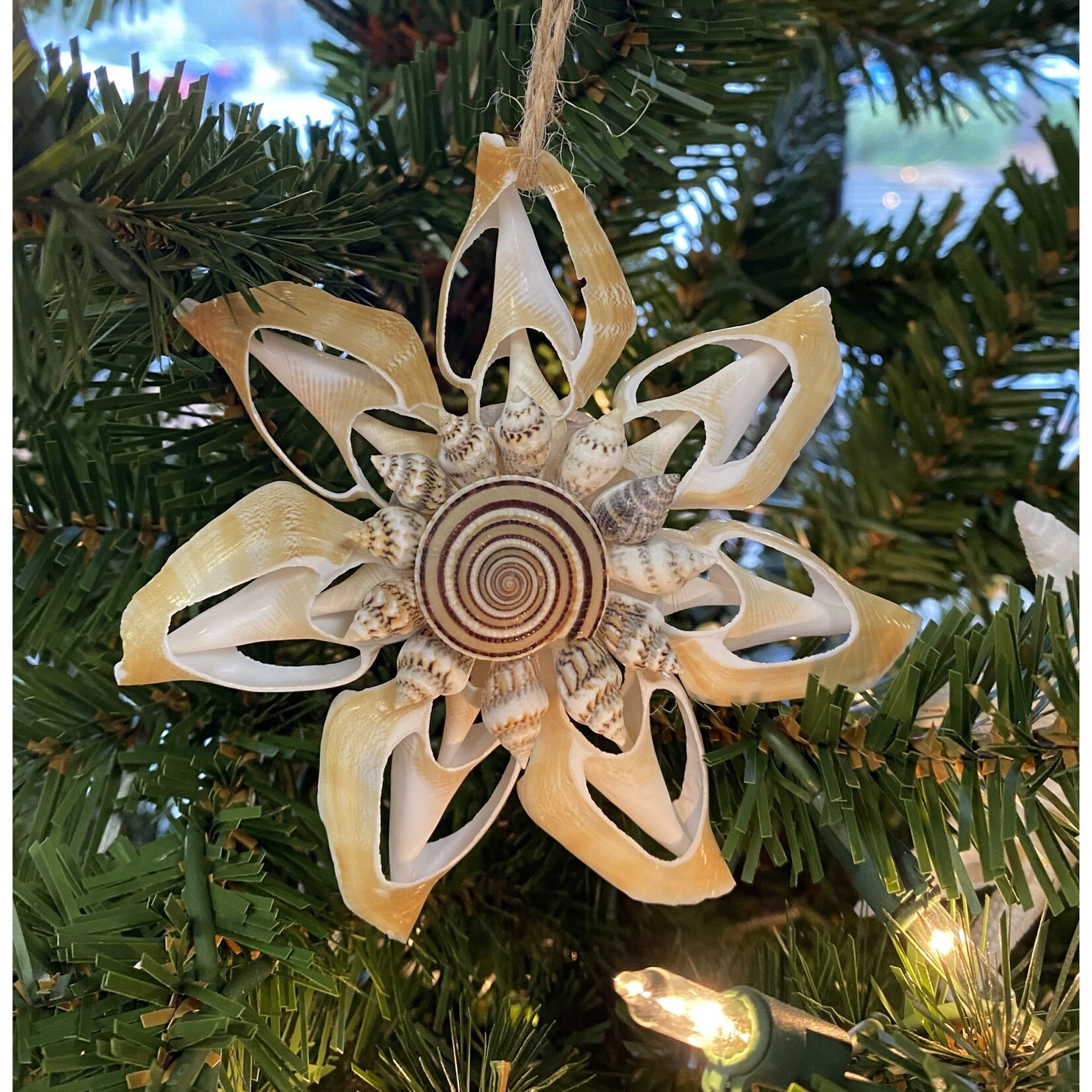 Prim In Proper Coastal Shell Pendant Ornament