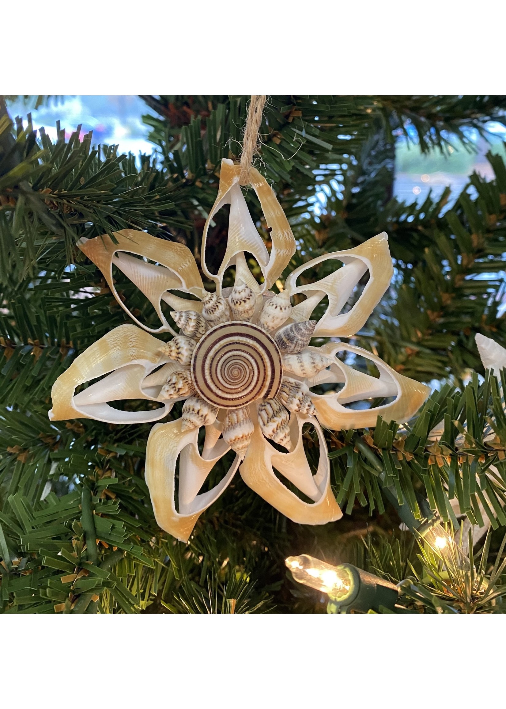 Unbranded Coastal Shell Pendant Ornament