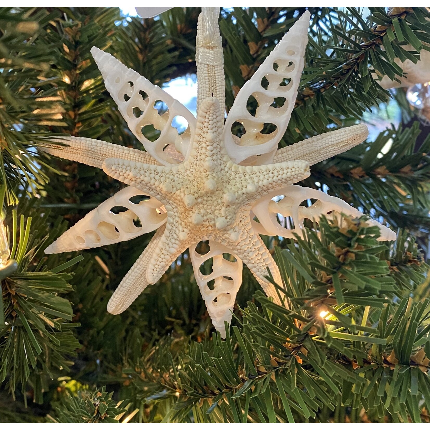 Prim In Proper Starfish Pendant Ornament