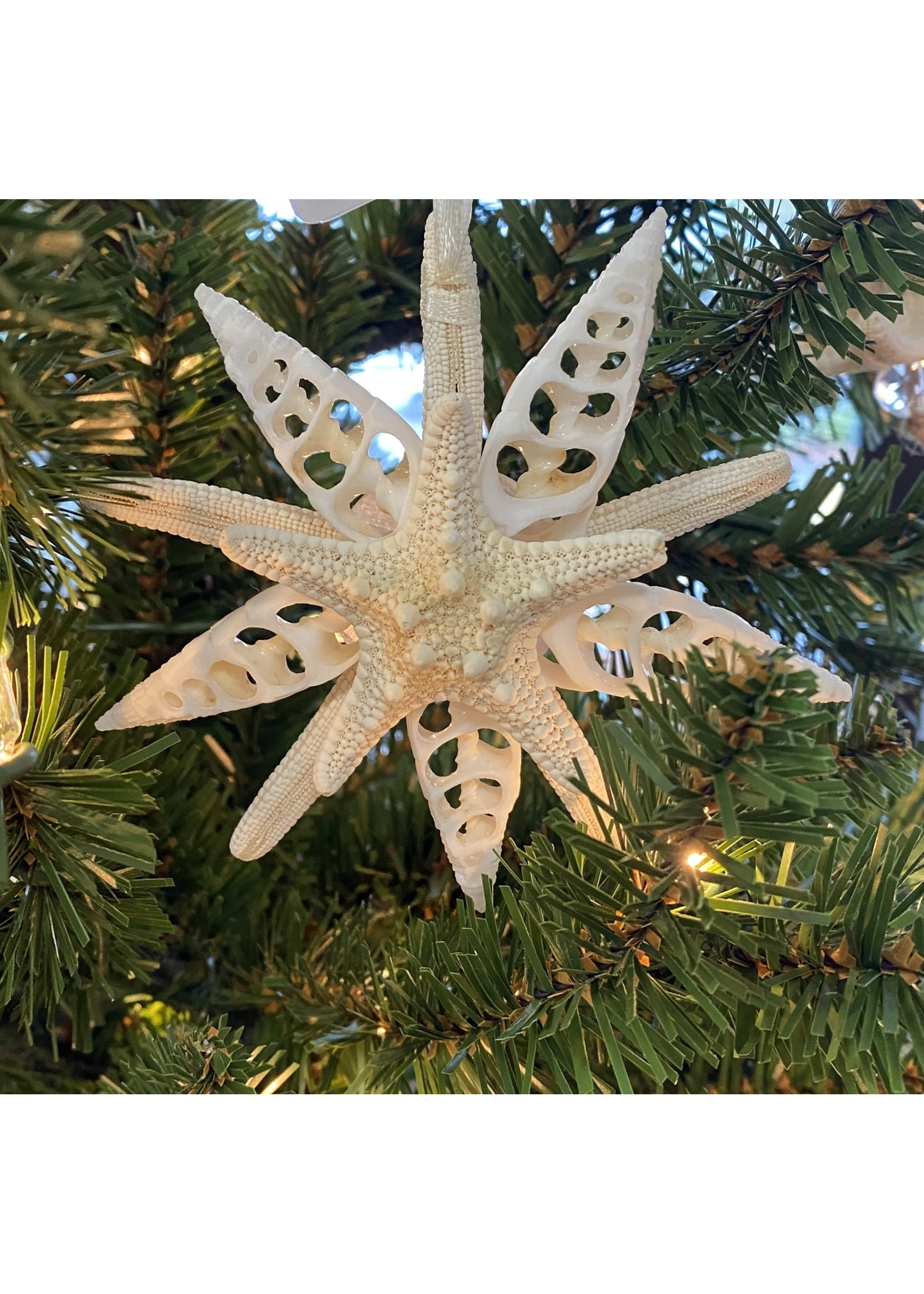 Unbranded Starfish Pendant Ornament