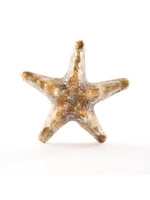 C&F Home Beaded Foil Starfish Ornament
