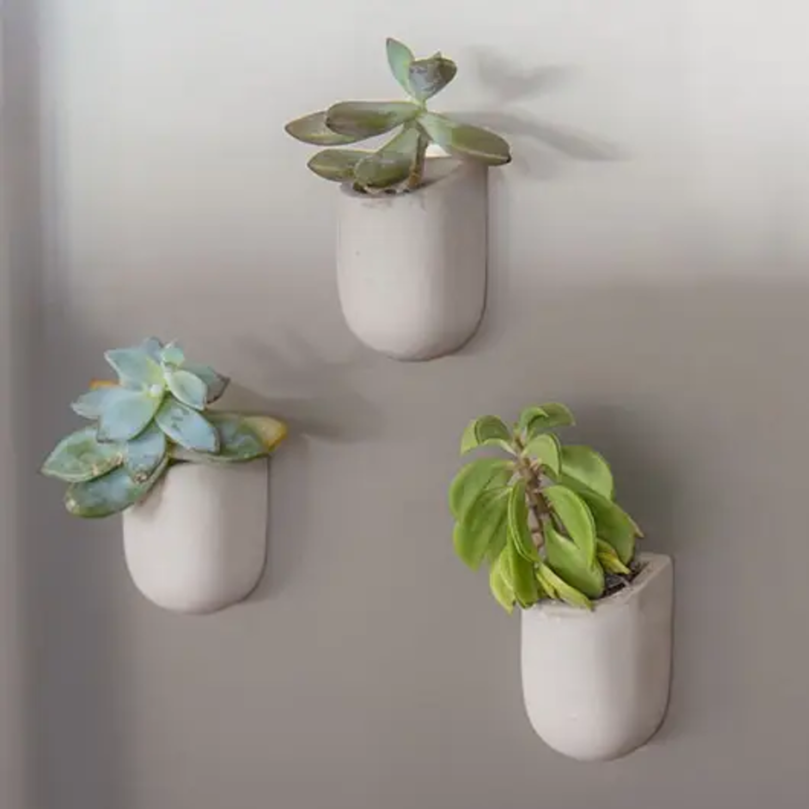 Gift Republic Magnetic Concrete Planters