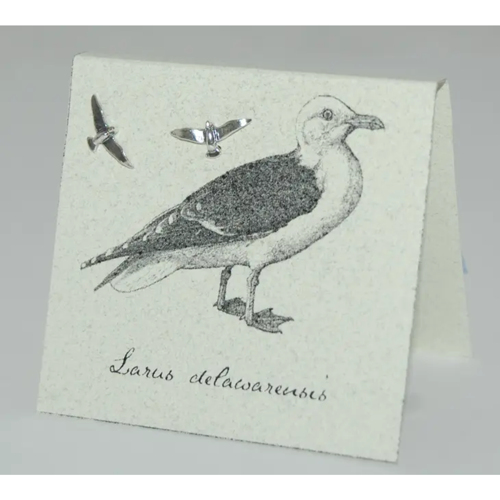 Semaki & Bird Nat. Hist. Earrings
