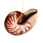 C&F Home Nautilus Shell Ornament