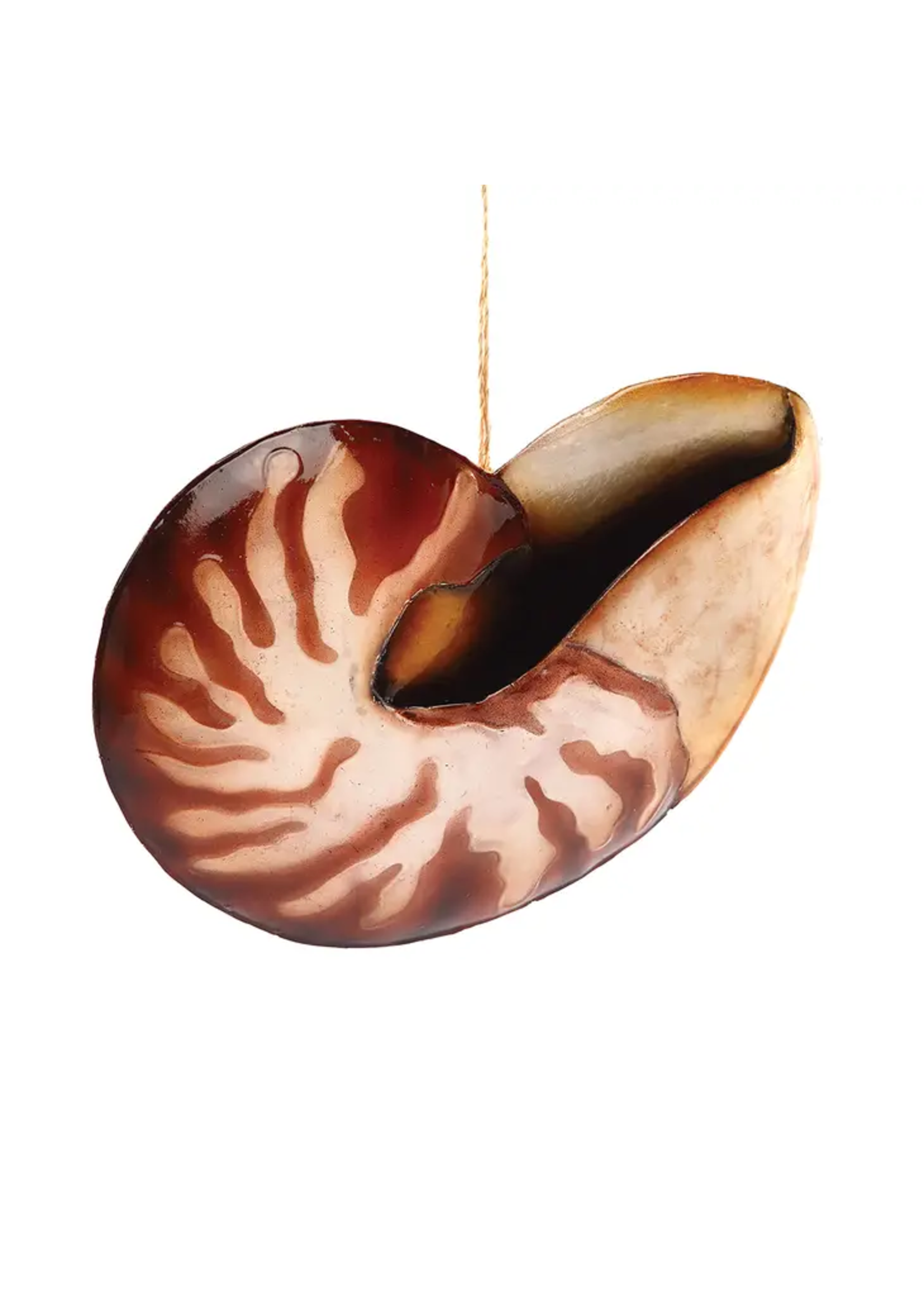 C&F Home Nautilus Shell Ornament