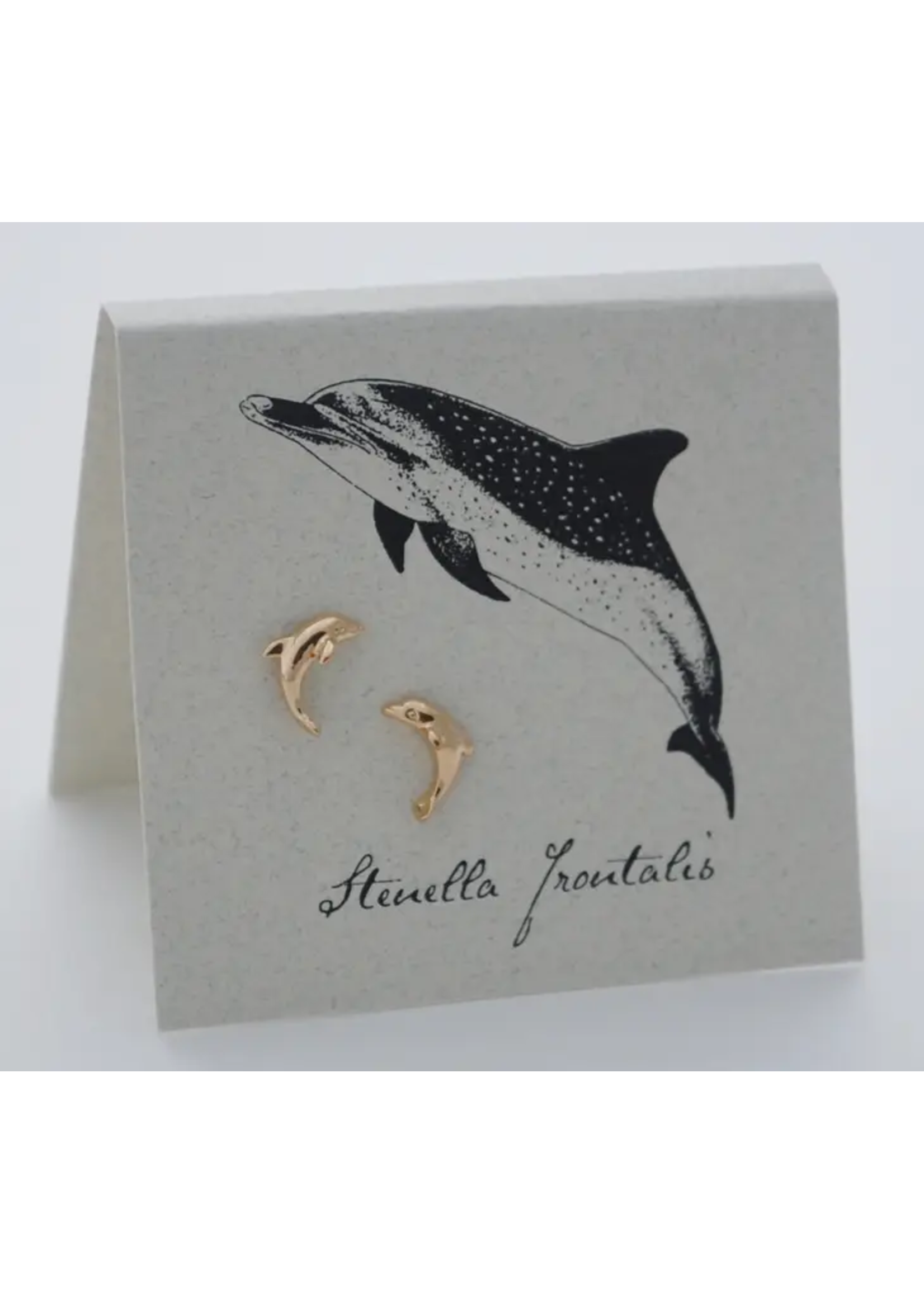 Semaki & Bird Dolphin Gold Stud Earrings