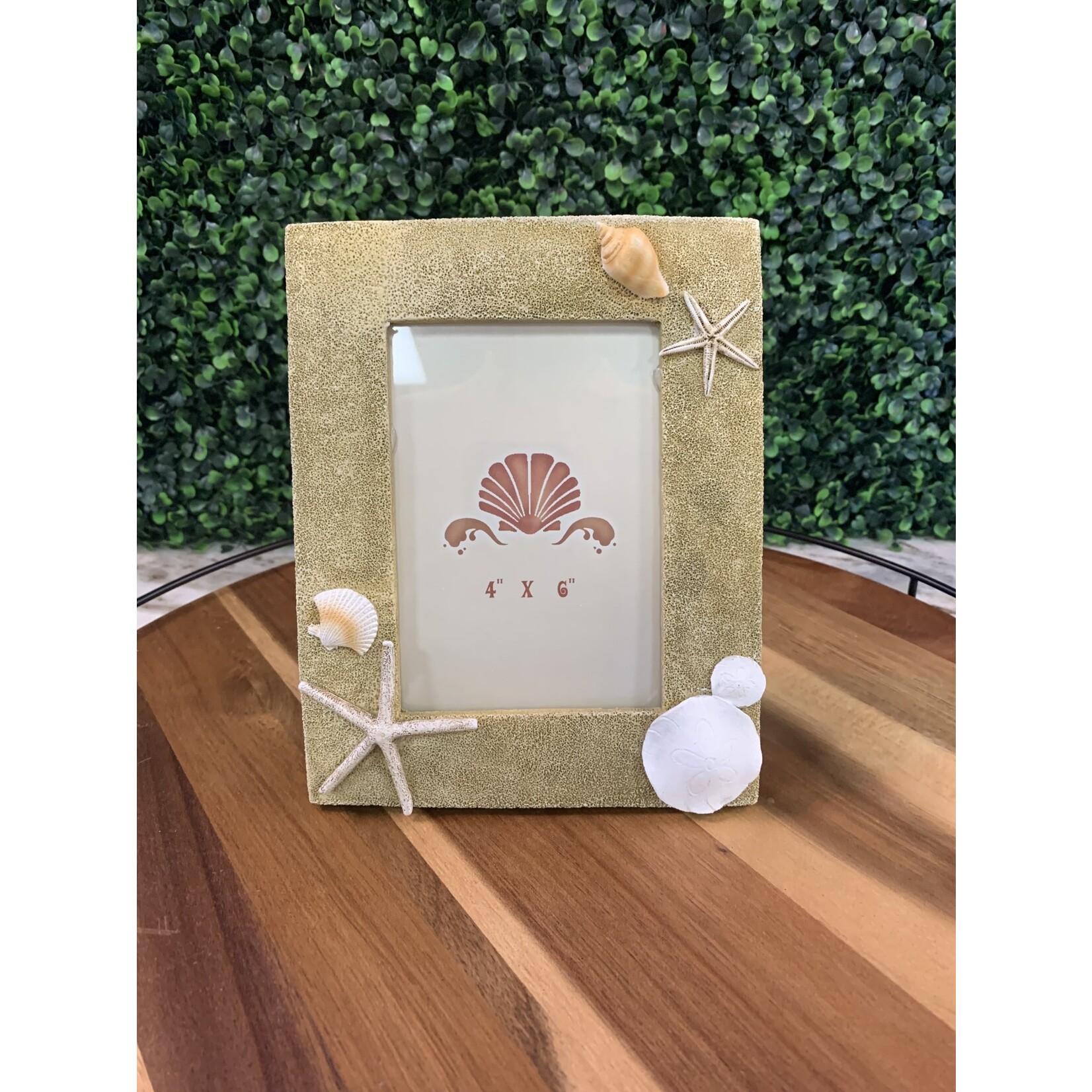 Beachcombers Sand & Shell 4X6 Photo Frame