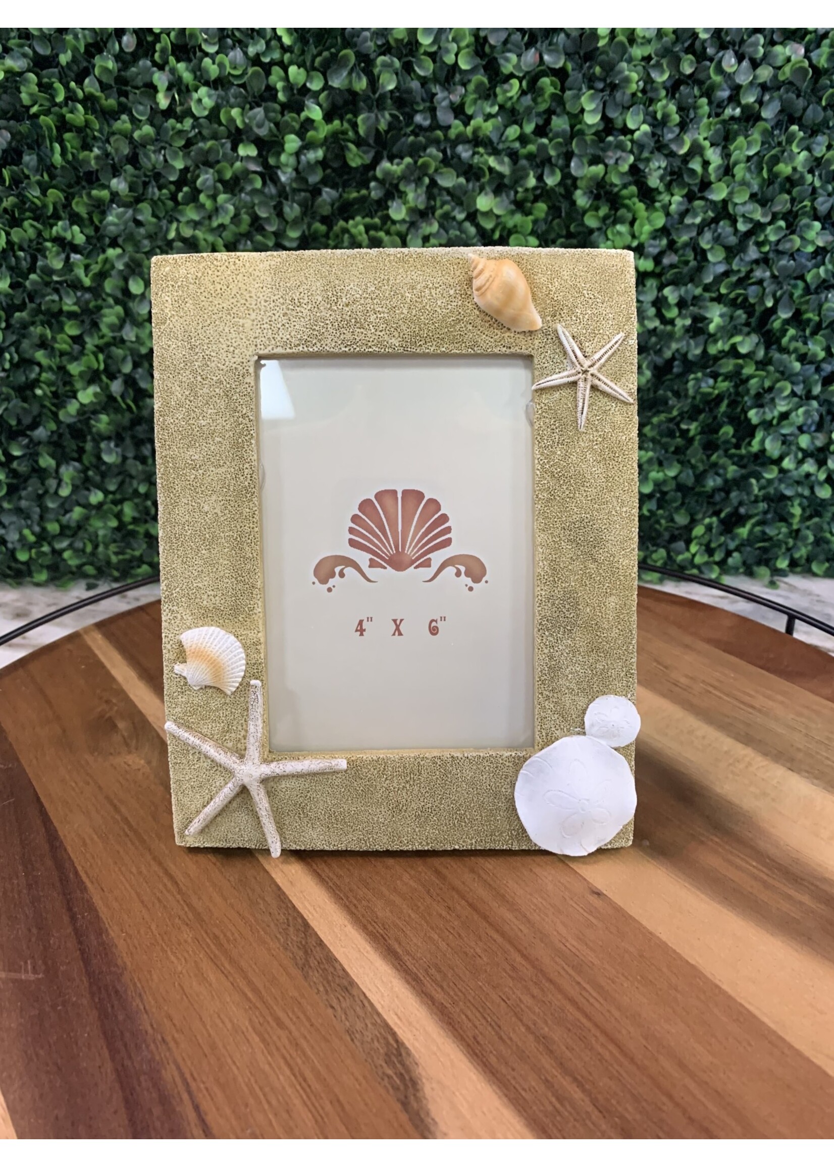 Beachcombers Sand & Shell 4X6 Photo Frame