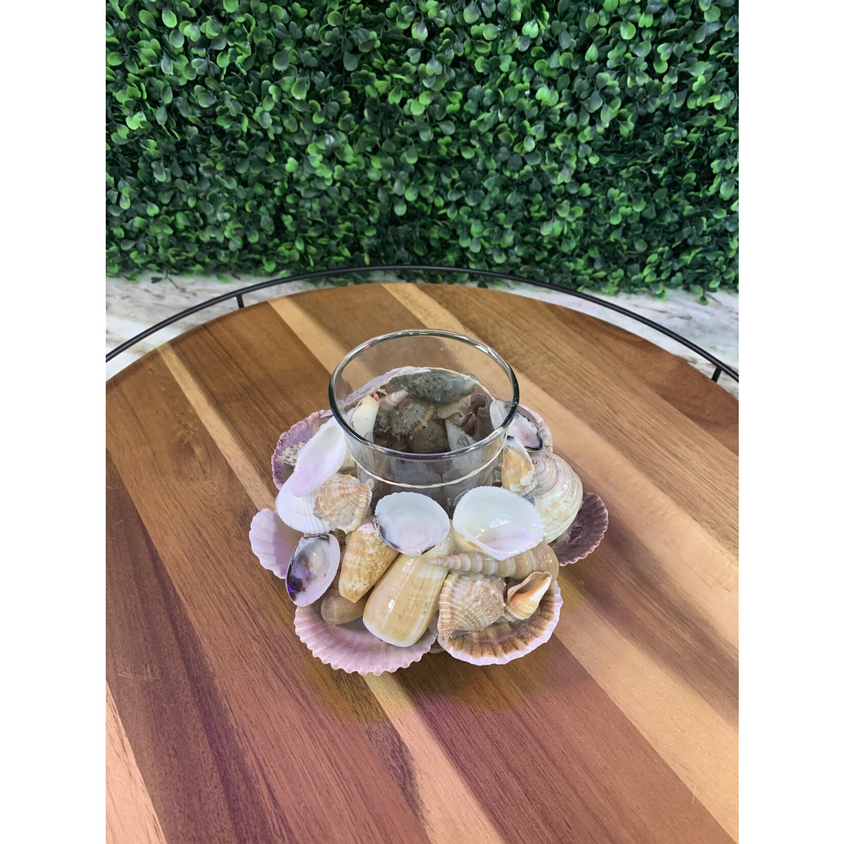 Modern World by Contrast Inc Shells Tealight Holder