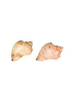 Beachcombers Conch Shell Salt & Pepper Shakers