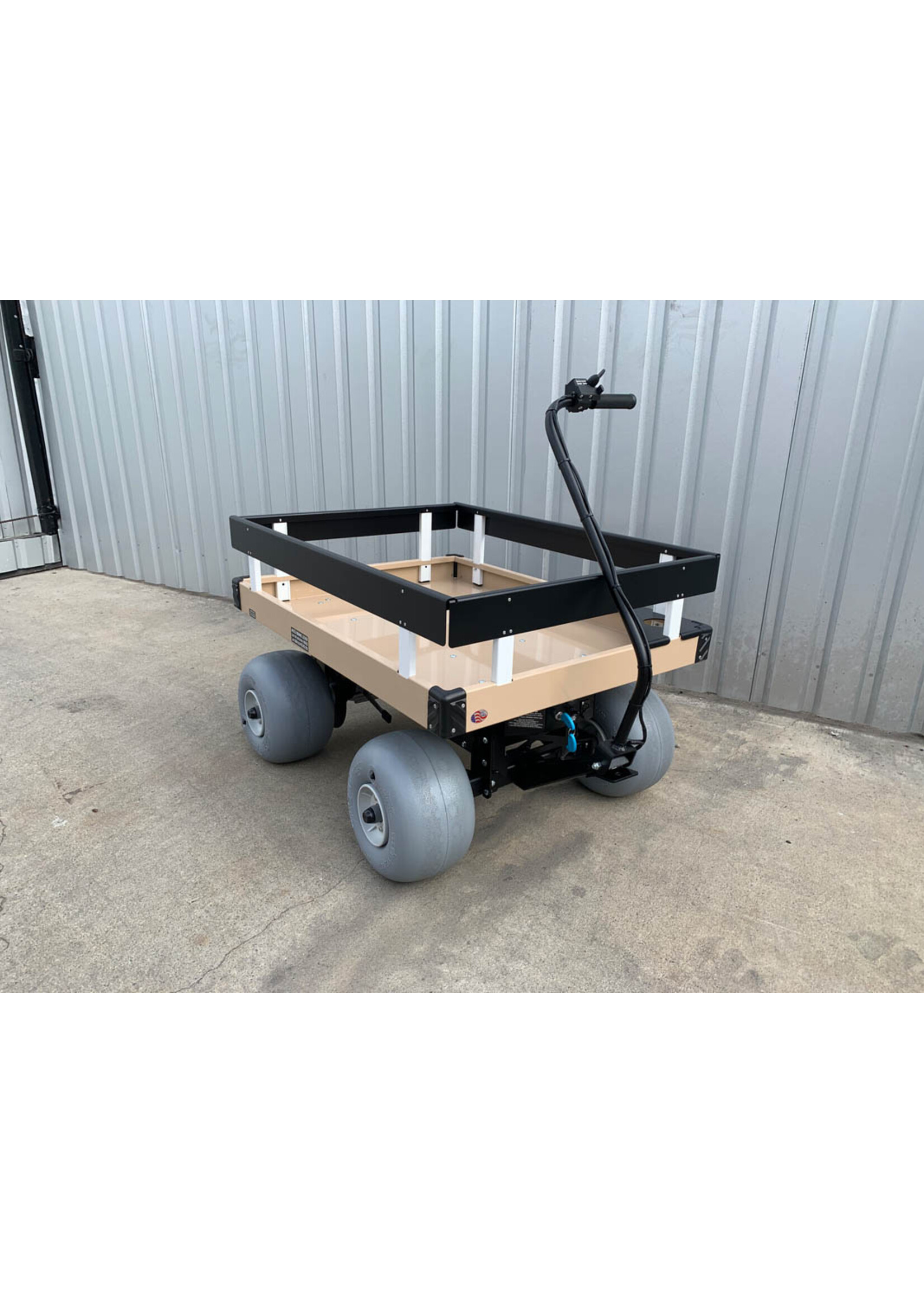 Electric Beach Cart 30 x 40 Deck - Single Rails - Prim in Proper