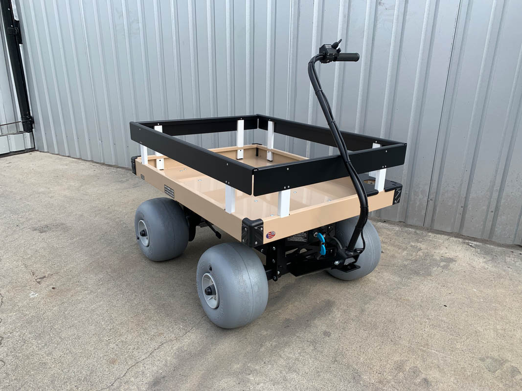Electric Beach Cart 30 x 40 Deck Single Rails Prim in Proper