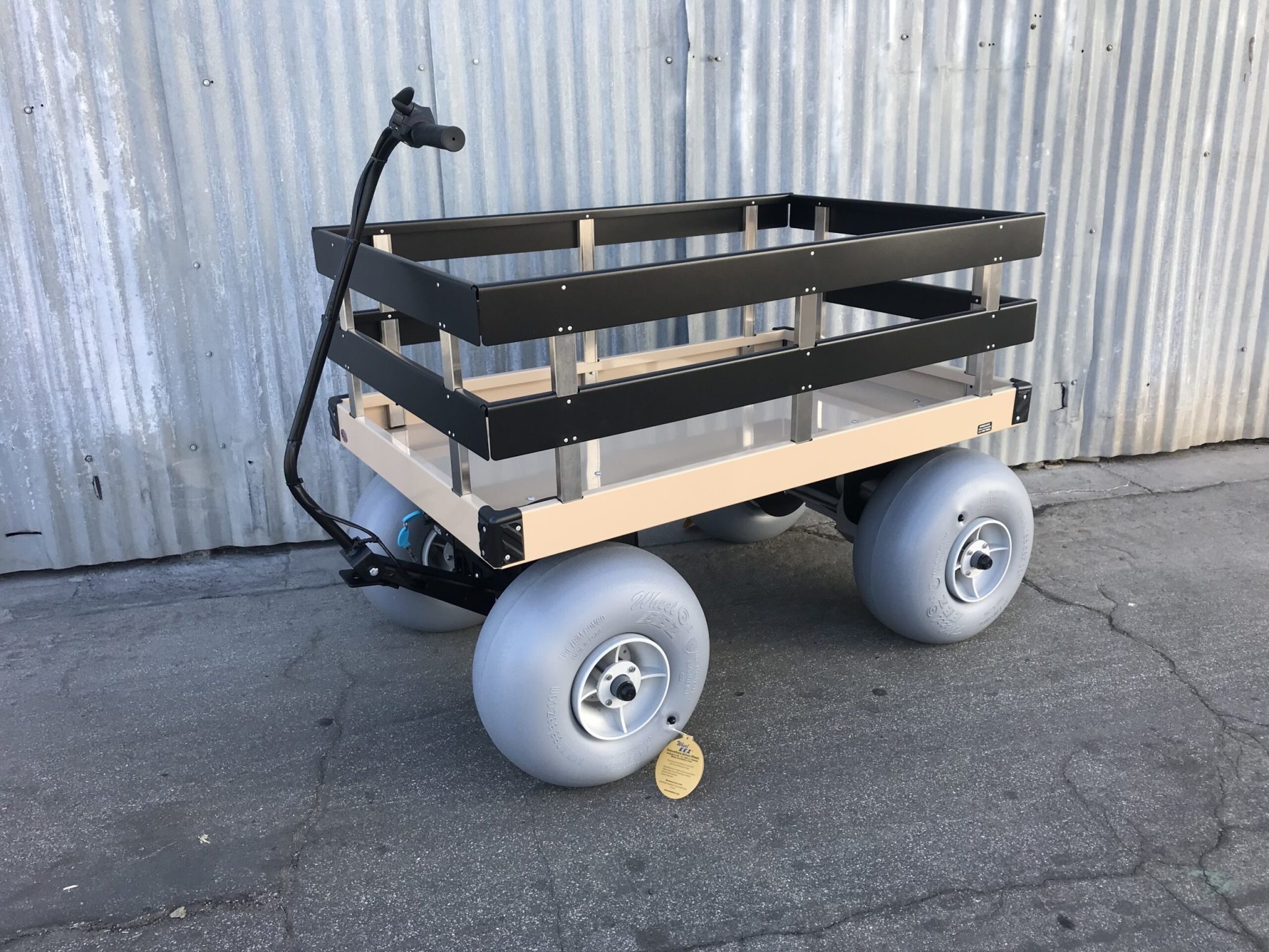 Electric Beach Cart 30 x 48 Deck Double Rails Prim in Proper