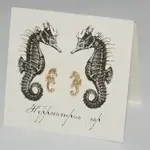 Semaki & Bird Seahorse Earrings - Gold