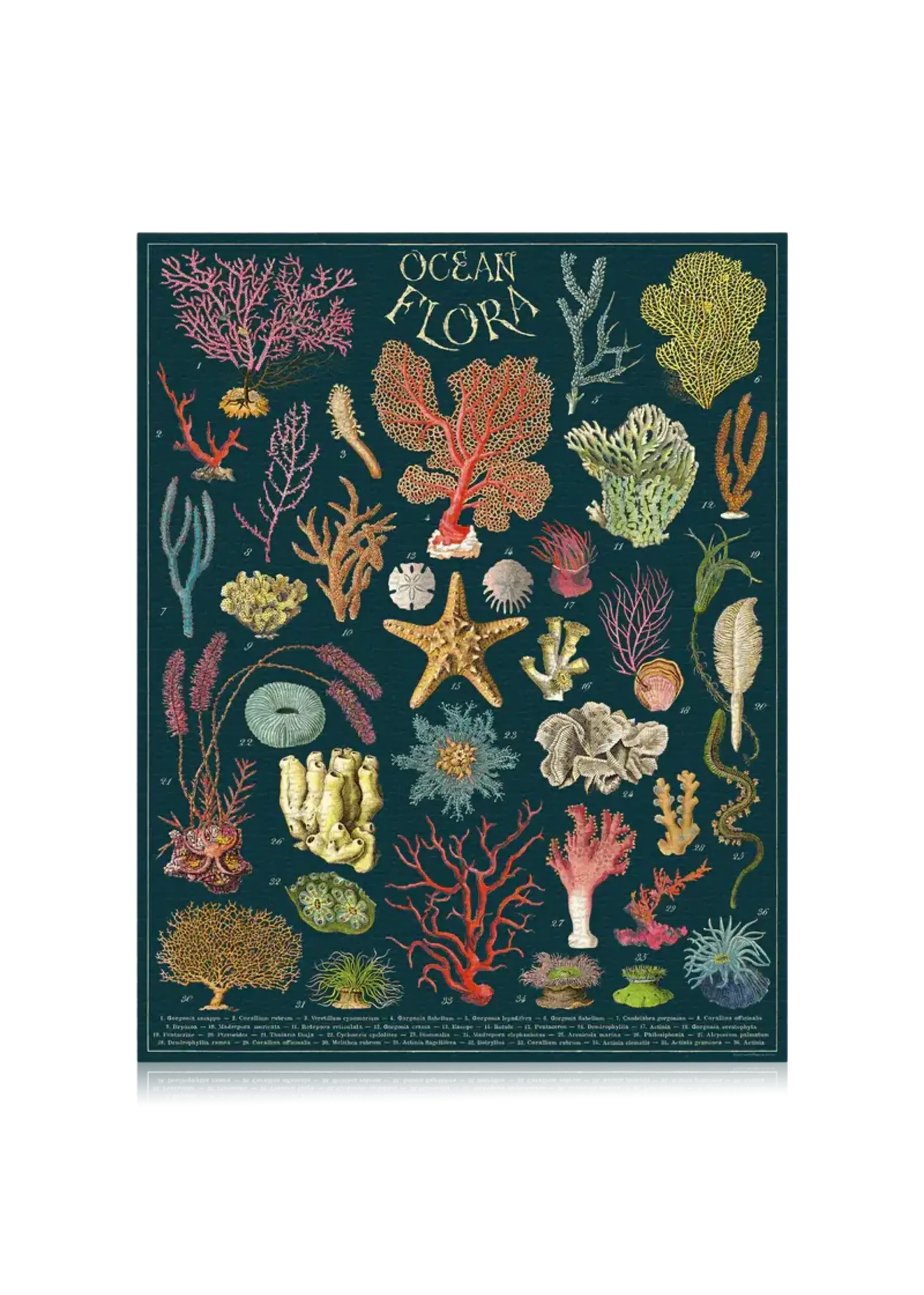 Cavallini Vintage Puzzle - Ocean Flora 1000 Pieces
