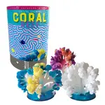 Copernicus Toys Crystal Growing Coral Reef