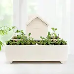 Gift Republic Self Watering House