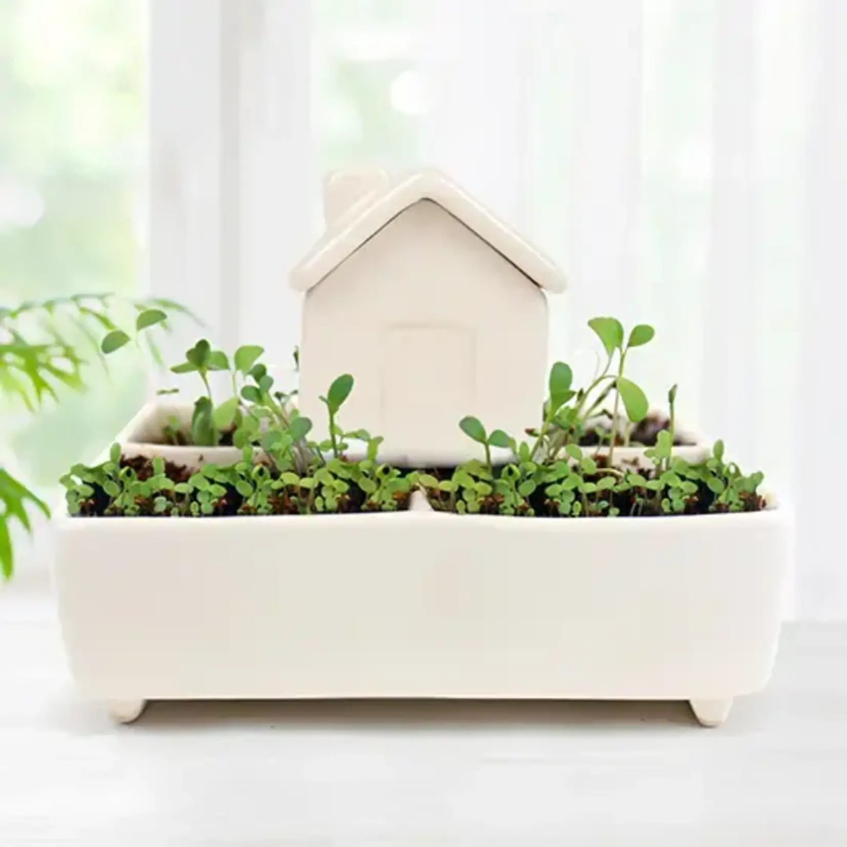 Gift Republic Self Watering House