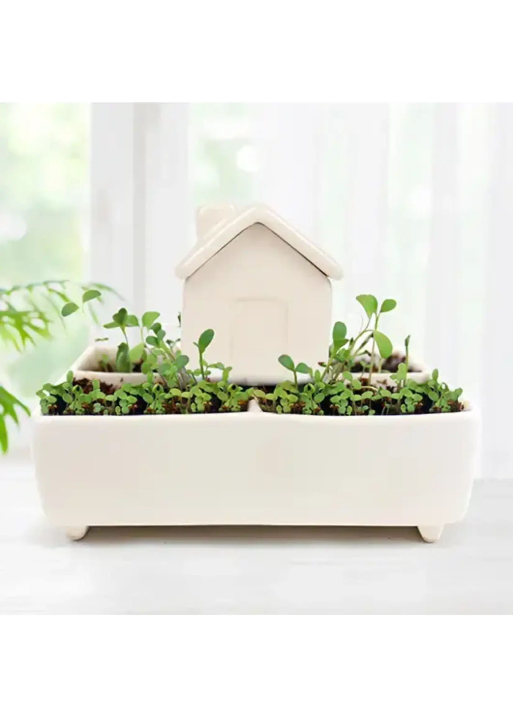 Gift Republic Self Watering House
