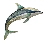 Bamboo Source Tropical Decor Capiz Shell & Metal Dolphin Wall Art