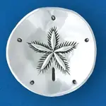 Basic Spirit Sanddollar Shape Charm Bowl