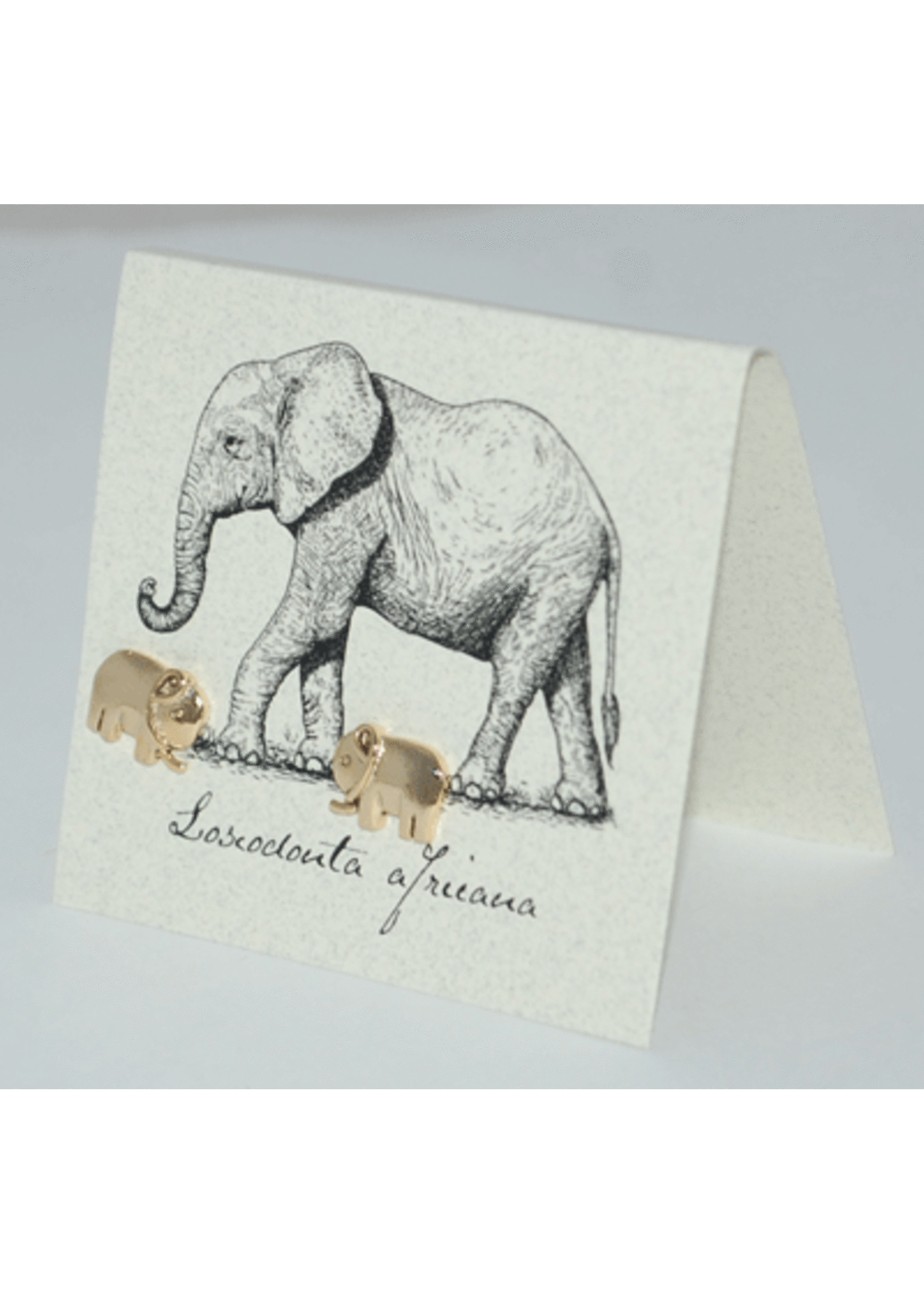 Semaki & Bird Nat. His. Earrings Elephant 14k Gold