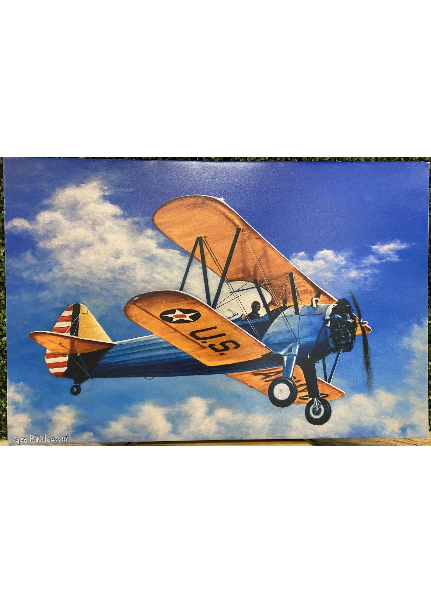 George Wilson Navy Biplane Original Canvas Painting  36x24
