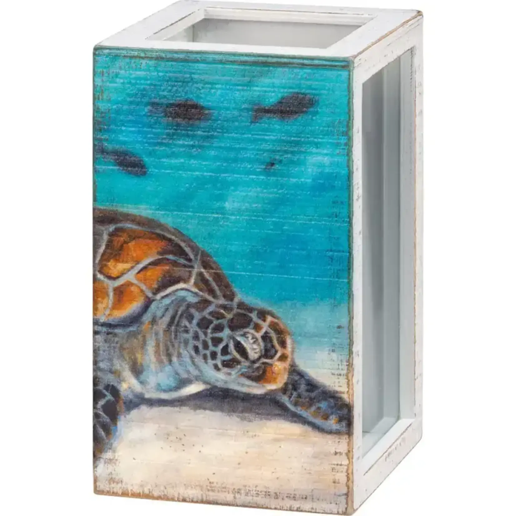 Primitives by Kathy Sea Turtle/Seagull Shell Holder