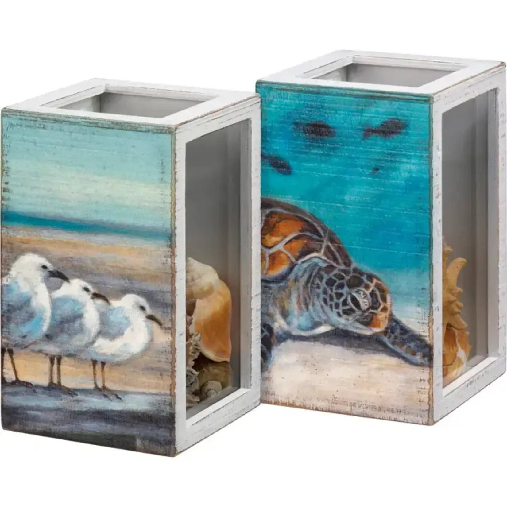 Primitives by Kathy Sea Turtle/Seagull Shell Holder