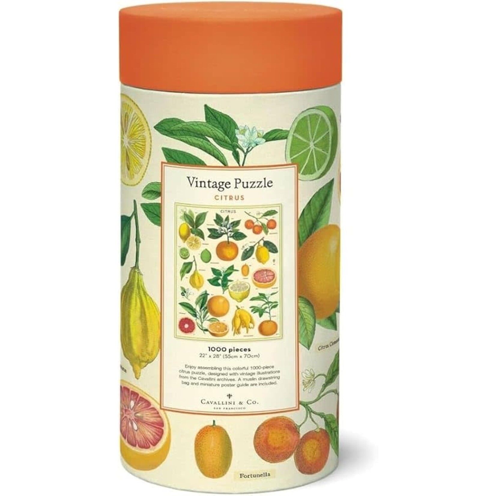 Cavallini Vintage Puzzle - Citrus