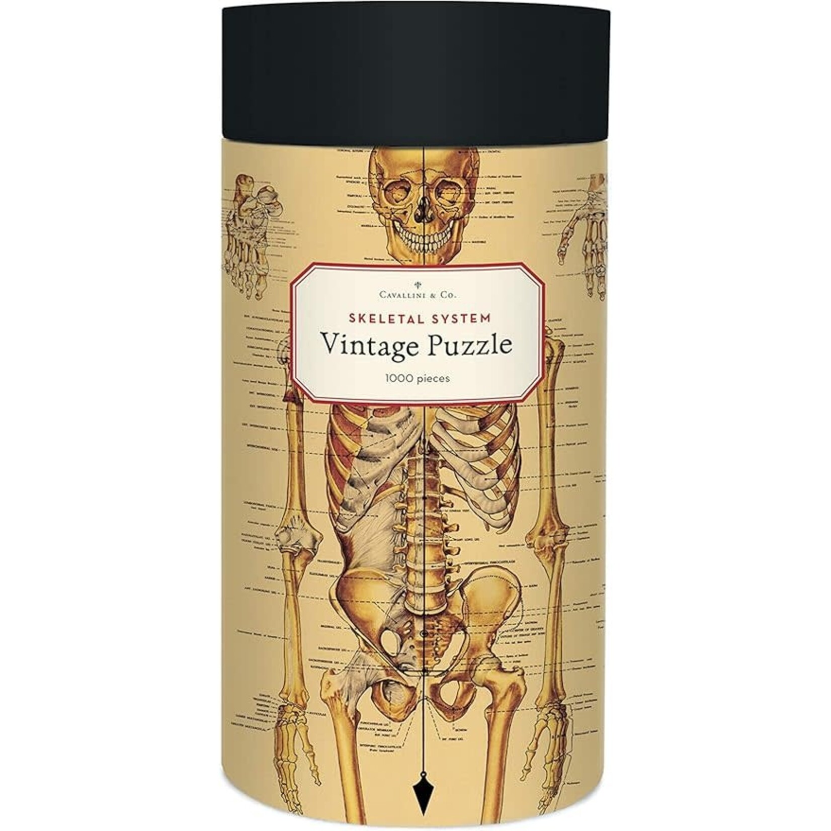 Cavallini Vintage Puzzle - Skeletal System