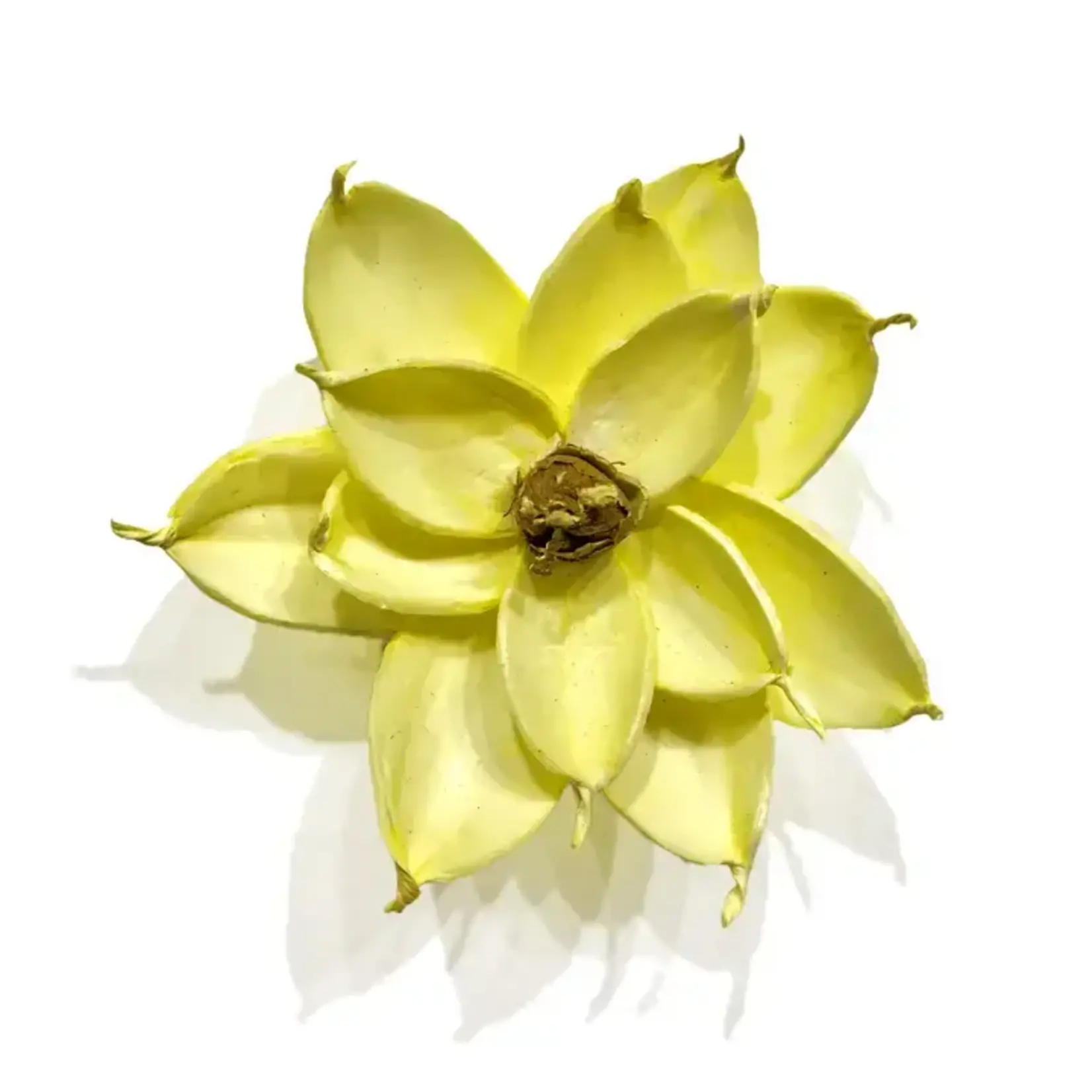 Wilco Home Magnolia Flower Magnet 4" Yellow