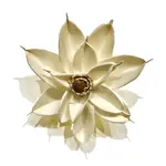 Wilco Home Magnolia Flower Magnet 4" White