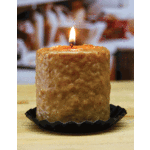 Warm Glow Candle Company Mini-Hearth Clove