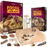 Dan & Darci Mega Fossil Dig Kit